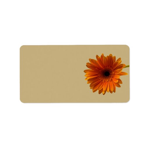 Orange Gerbera Daisy Blank Wedding Address Labels
