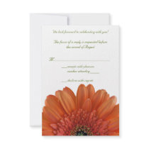 Orange Gerbera Daisy Wedding Reply RSVP Card
