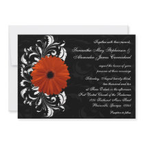 Orange Gerbera Daisy with Black and White Scroll Announcements