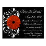 Orange Gerbera Daisy with Black and White Scroll Postcards