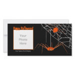 Orange Halloween Spiders photo cards