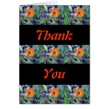 Orange Hawkweed 1 Greeting Card