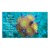 Orange Hawkweed Clusters Business Card