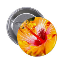 Orange Hibiscus Button