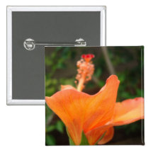Orange Hibiscus Buttons