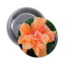 Orange Hibiscus by Eleanor Buttons