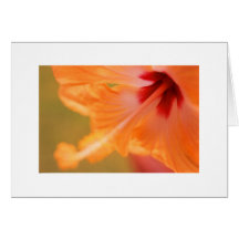 "Orange Hibiscus" Card