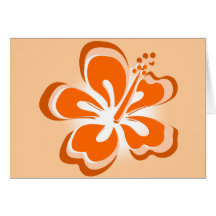orange hibiscus flower cards