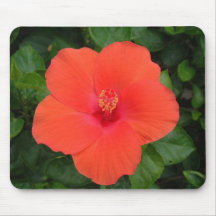 Orange Hibiscus Mousepad