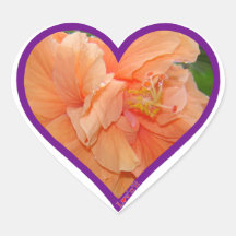 orange hibiscus stickers