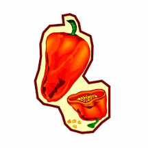 Orange hot peppers one cut in half graphic photo cutouts