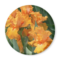 Orange Irises Refrigerator Magnet