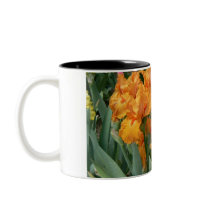Orange Irises Coffee Mugs