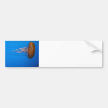 Orange Jellyfish Bumper Sticker