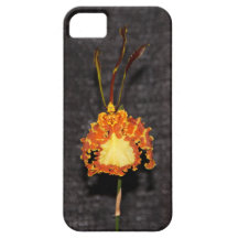 Orange Jewel Cell Phone Case iPhone 5 Cover