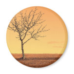 Orange Landscape Fridge Magnets