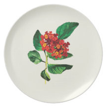 Orange Lantanas Plate