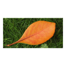 Orange Leaf Photo Card