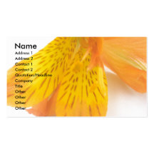 Orange Lily Business Card Template