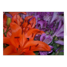 Orange Lily Card