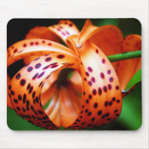 Orange Lily Mousepad