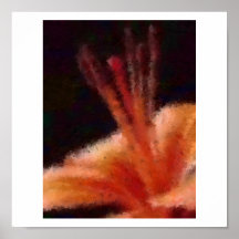 Orange Lily Poster