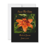 Orange Lily Save The Date Cards Personalized Announcement