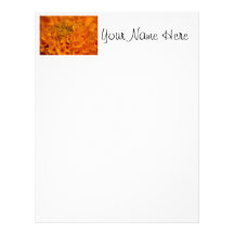 Orange Marigold Flower Letterhead