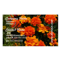 Orange Marigold Flowers Business Card