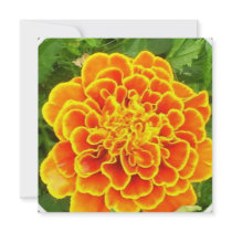 Orange Marigold Invitations