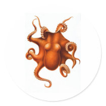 Orange Octopus Round Sticker