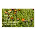 Orange Orange Hawkweed (Hieracium Aurantiacum) flo Business Cards