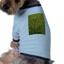 Orange Orange Hawkweed (Hieracium Aurantiacum) flo Pet Clothing