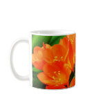 orange orange mug