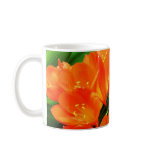 orange orange coffee mugs