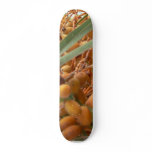 Orange Palm Tree Fruits Skateboards