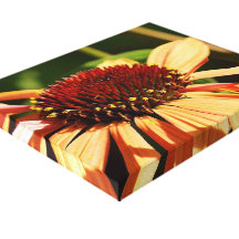 Orange Pedal Canvas 10 x 8 Canvas Prints