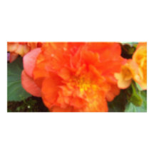 Orange Peony Photo Card