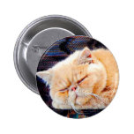 Orange Persian Cat Button