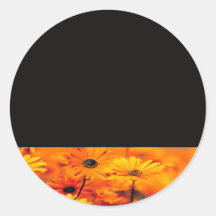 orange poppies stickers