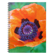 Orange Poppy Flower Notebook