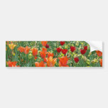 Orange & Red Tulips Bumper Sticker