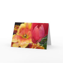 Orange Red Tulips "Mother's Day" card
