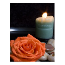 Orange Rose and Harmony Candle Post Cards