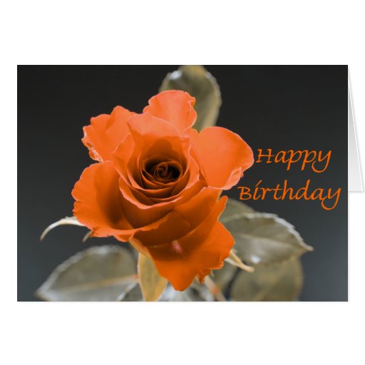 Orange Rose Birthday Cards