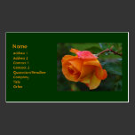 Orange Rose Business Card business cards