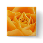 Orange Rose Buttons
