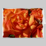 Orange Rose Card cards