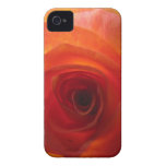 Orange Rose Case-Mate Case iPhone 4 Case