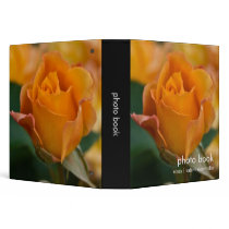 Orange Rose DSC3450 3 Ring Binders